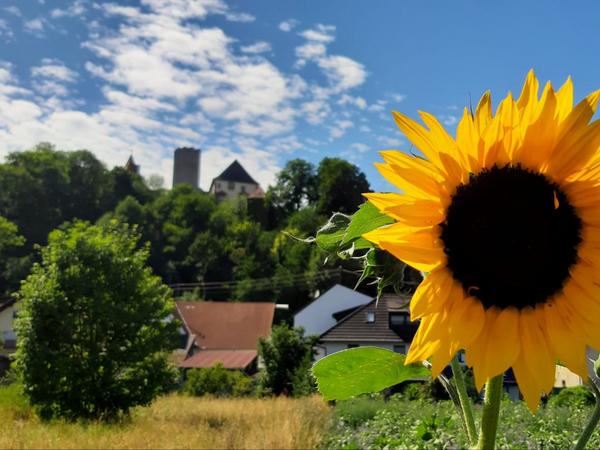 Sonnenblume mit Burg im Hintergrund
