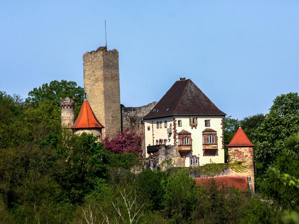 Blick auf die Burg Neidenstein